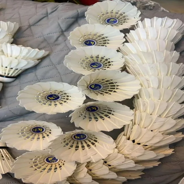 掘金头名战解析：全队表现与未来展望